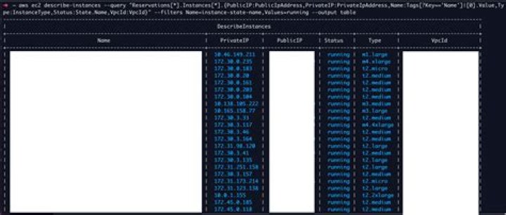describe-instances — AWS CLI 2.0.33 Command Reference