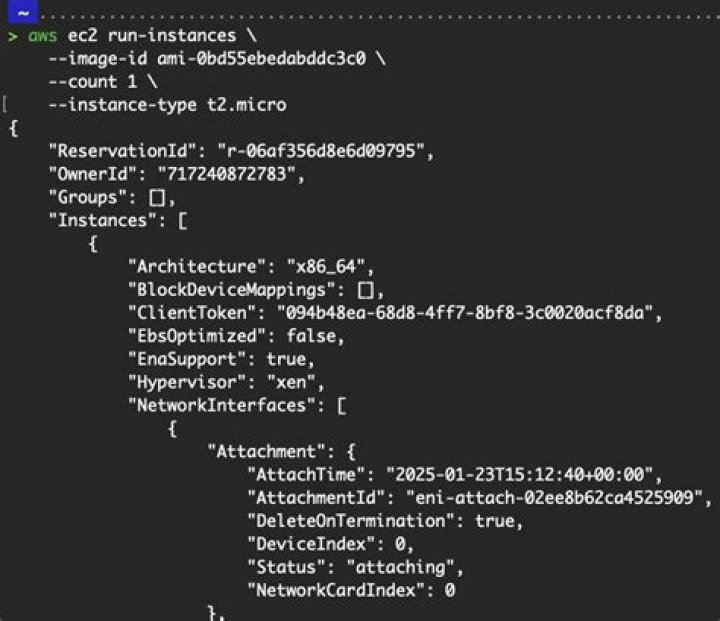 describe-loa — AWS CLI 2.1.29 Command Reference
