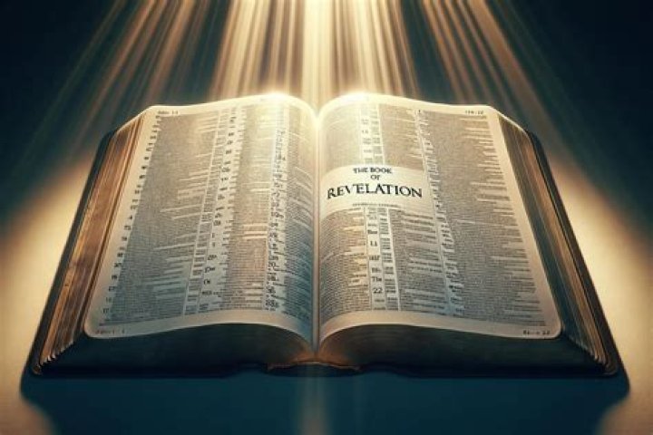 Unseen Revelations And Expert Perspectives For "PaletteProseHD7"